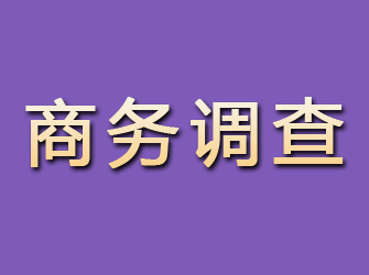 炉霍商务调查